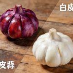伊尹故里杞县溯源｜聊聊厨祖与杞县渊源故事-我爱杞县网